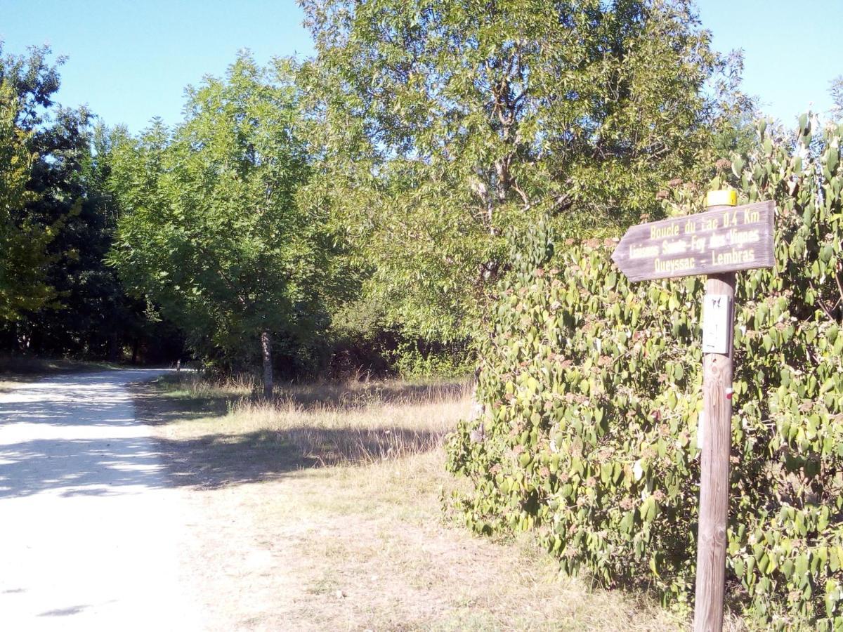 T2 36 M2 Pres Du Lac, Parc 55 Hectares Accessible A Pied ! Bergerac Eksteriør billede